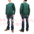Load image into Gallery viewer, Whitesville Plain Sweatshirt Men's Loop-wheeled V-Insert Vintage Style WV67728 145 Green