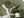 Buzz Rickson Daisy Mae Hat Men's US Army Style Herringbone Boonie Hat BR02537 Olive