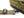 Buzz Rickson Men's Casual Small Shoulder Bag - Frogskin Camouflage, Modern Reinterpretation of WWII U.S. Army Air Forces Pilot Gear, BR02879