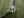 Buzz Rickson M-65 Coat (No Hood, No Liner) Men's Casual Reproduction of US Army M65 Lightweight Fishtail Overcoat BR14719 Olive