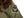Buzz Rickson Men's B-10 Flight Jacket with Red Ribbed Trim - Superior Togs Co. Model - U.S. Army Air Forces WWII Cotton Bomber Jacket Reproduction - Made in Japan (BR15745 Olive Drab)
