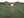 Buzz Rickson's Men's Set-In Crew Neck Sweatshirt, Tubular Body, V-Gusset, 100% Cotton Brushed-Back Fleece, Made in Japan (BR65622 149 Olive)