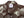 Duke Kahanamoku Hawaiian Shirt Men's 1950s Duke's Shell Reproduction Short-Sleeve Aloha Shirt DK39450 138 Brown