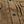 Load image into Gallery viewer, Oni Denim Jacket ONI-02516P-HOX Men&#39;s Casual Modern-Fit 13 5oz. Sulfur-Dyed Oxford Fabric Jacket in Brown-Khaki Color, Inspired by Type II G-Jacket One-Wash
