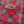 Load image into Gallery viewer, Sugar Cane Men&#39;s Vintage-Style Brushed Plaid Flannel Long-Sleeve Work Shirt - Fiction Romance Collection - 100% Cotton Herringbone Twill, Made in Japan (SC29584 165 Red)
