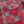 Load image into Gallery viewer, Sugar Cane Men&#39;s Vintage-Style Brushed Plaid Flannel Long-Sleeve Work Shirt - Fiction Romance Collection - 100% Cotton Herringbone Twill, Made in Japan (SC29584 165 Red)
