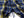 Samurai Jeans Indigo Plaid Flannel Shirt Men's Heavyweight Long Sleeve Button Up Work Shirt SIN23-01 Indigo/Blue Plaid