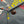 Load image into Gallery viewer, Sun Surf Men&#39;s Cotton Hawaiian Shirt - Uncle Torys Graphic Design - Short-Sleeve Aloha Shirt &quot;TRIP TO HAWAII&quot; SS39537 119 Faded-Black
