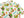 Sun Surf Men's Cotton Hawaiian Shirt - Uncle Torys Graphic Design - Short-Sleeve Aloha Shirt 