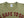 TOYS McCOY Graphic Loopwheel T-shirt Men's Short Sleeve Casper the Friendly Ghost Surfing Printed Tee TMC2504 Garment-Dyed Finish 160 Faded-Olive