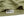 TOYS McCOY Graphic Loopwheel T-shirt Men's Short Sleeve Casper the Friendly Ghost Surfing Printed Tee TMC2504 Garment-Dyed Finish 160 Faded-Olive