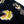 Laden Sie das Bild in den Galerie-Viewer, Tailor Toyo Japanese Souvenir Jacket - Men&#39;s Mid-1950s Reproduction Sukajan - Reversible, Velvet and Quilted Satin - TT15792-128 Roaring Tiger x Japan Map Dark Navy x Black
