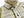Pherrow's Plaid Flannel Shirt Mens Long Sleeve Checked Button Up Shirt 21W-720WS Beige/Yellow