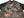 Japanesque Japanese Souvenir Jacket 3RSJ-015 goldfish Men's Sukajan Charcoal-Gray/Black