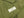 Buzz Rickson Tropical Jacket Men's US Vietnam War Jungle Fatigue Jacket BR12247 Olive