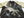 SATORI Japanese Souvenir Jacket Wolf Men's Sukajan GSJR-006 Black/Gold