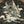 Laden Sie das Bild in den Galerie-Viewer, Satori Script Japanese Souvenir Jacket Koi Fish Carps Men&#39;s Sukajan GSJR-011 Black/Charcoal-Gray
