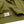 Load image into Gallery viewer, Kaminari T-Shirt Men&#39;s Classic Japanese Car Graphic Short Sleeve Tee KMT-219 Khaki
