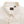 Load image into Gallery viewer, Sugar Cane Plain Oxford Shirt Men&#39;s Button-Down Collar Short Sleeve Casual Shirt SC38902 401Off-White
