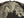 Hanatabi Gakudan Men's Japanese Souvenir Jacket Japanese Phoenix Sukajan Script SKJ-71R
