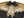 Hanatabi Gakudan Men's Japanese Souvenir Jacket Japanese Owl Sukajan Script SSJ-009