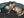 Hanatabi Gakudan Men's Japanese Souvenir Jacket Rooster and Hen Japanese Art Sukajan Script SSJ-018