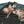 Load image into Gallery viewer, Hanatabi Gakudan Men&#39;s Japanese Souvenir Jacket Rooster and Hen Japanese Art Sukajan Script SSJ-018
