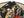 Hanatabi Gakudan Men's Japanese Souvenir Jacket Japanese Geisha Oiran Sukajan Script SSJ-505